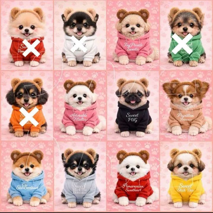 ☆受付☆りんご様ミニパネル　4種類