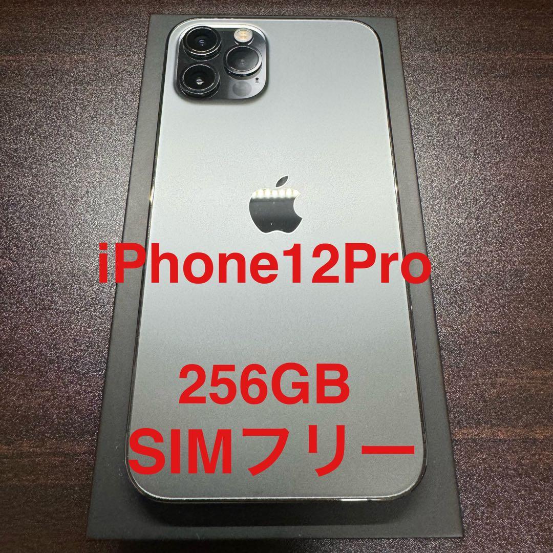 田中麗奈 ウルトラマン ゼアス 出光 とんねるず まいどCD うちわ