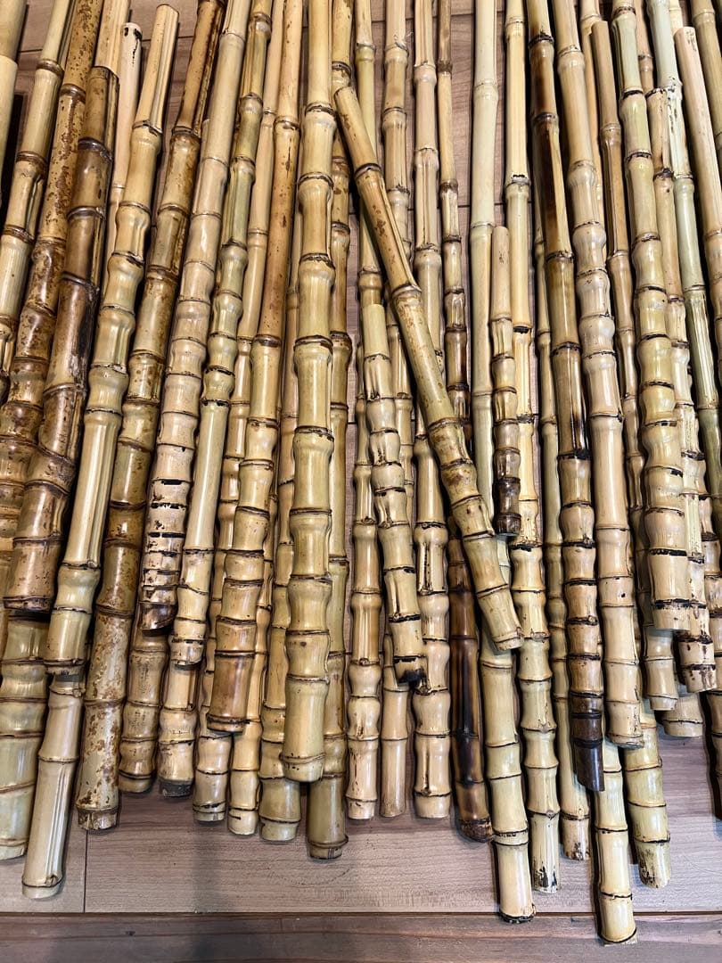 釣り具、タモ等に　布袋竹120本