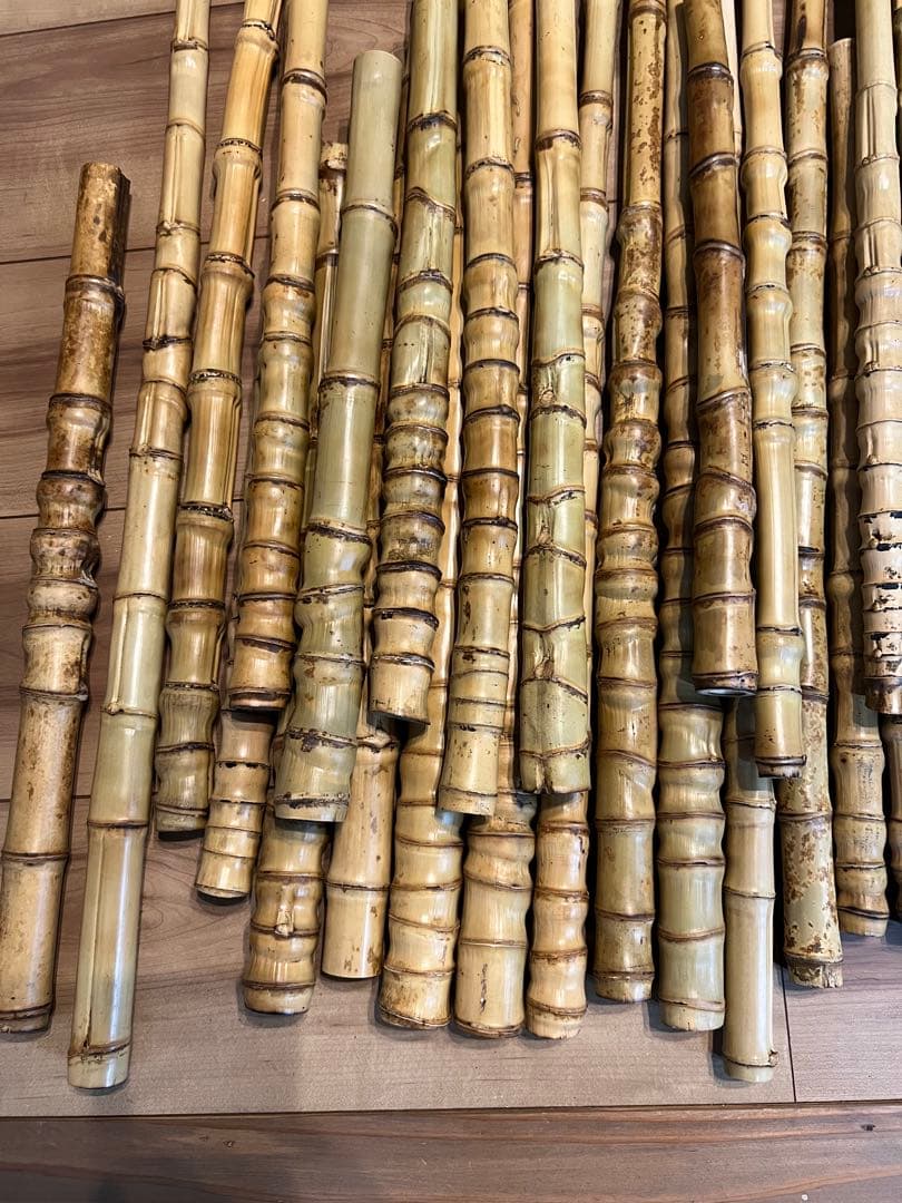 釣り具、タモ等に　布袋竹120本