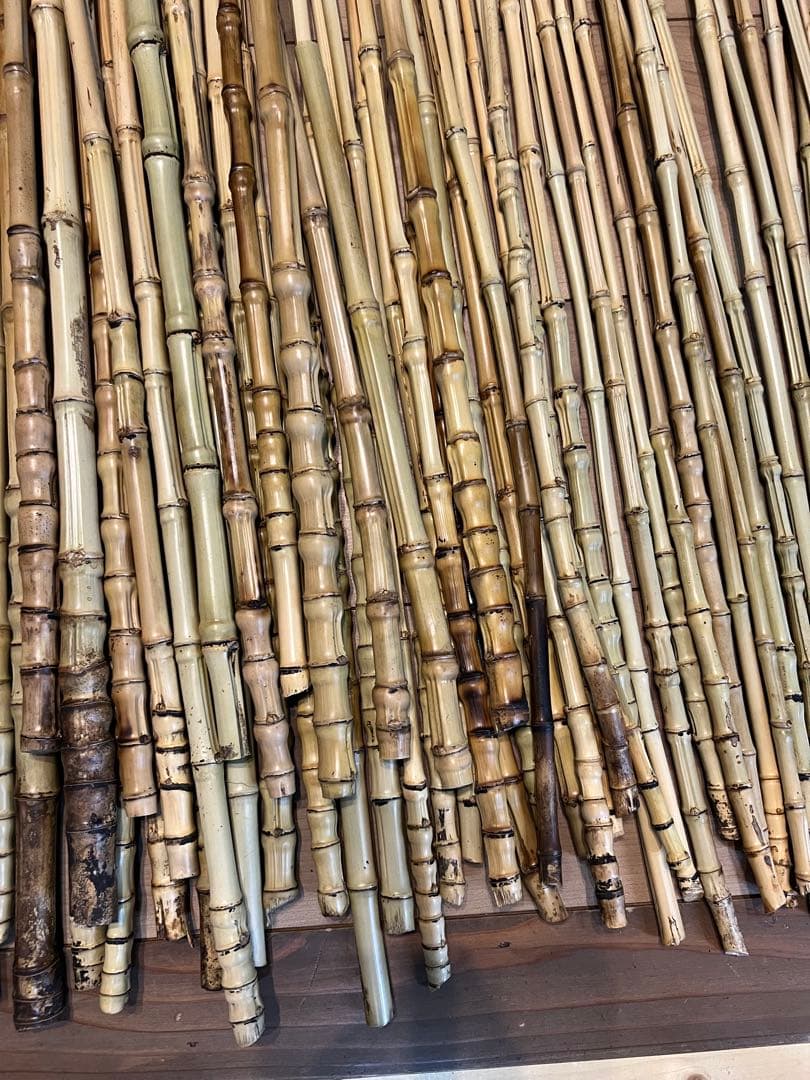 釣り具、タモ等に　布袋竹120本