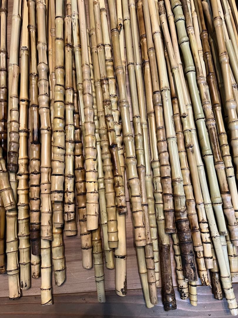釣り具、タモ等に　布袋竹120本