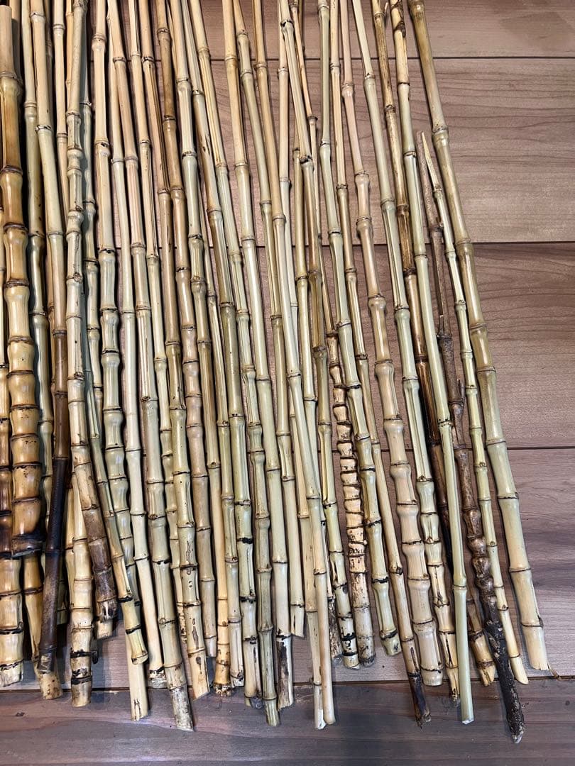 釣り具、タモ等に　布袋竹120本