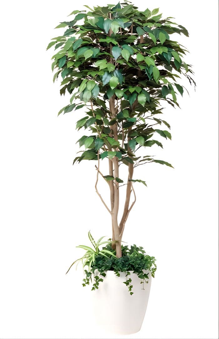 光触媒　人工観葉植物　ウォールグリーン　フェイクグリーン　ベンジャミン1.8d