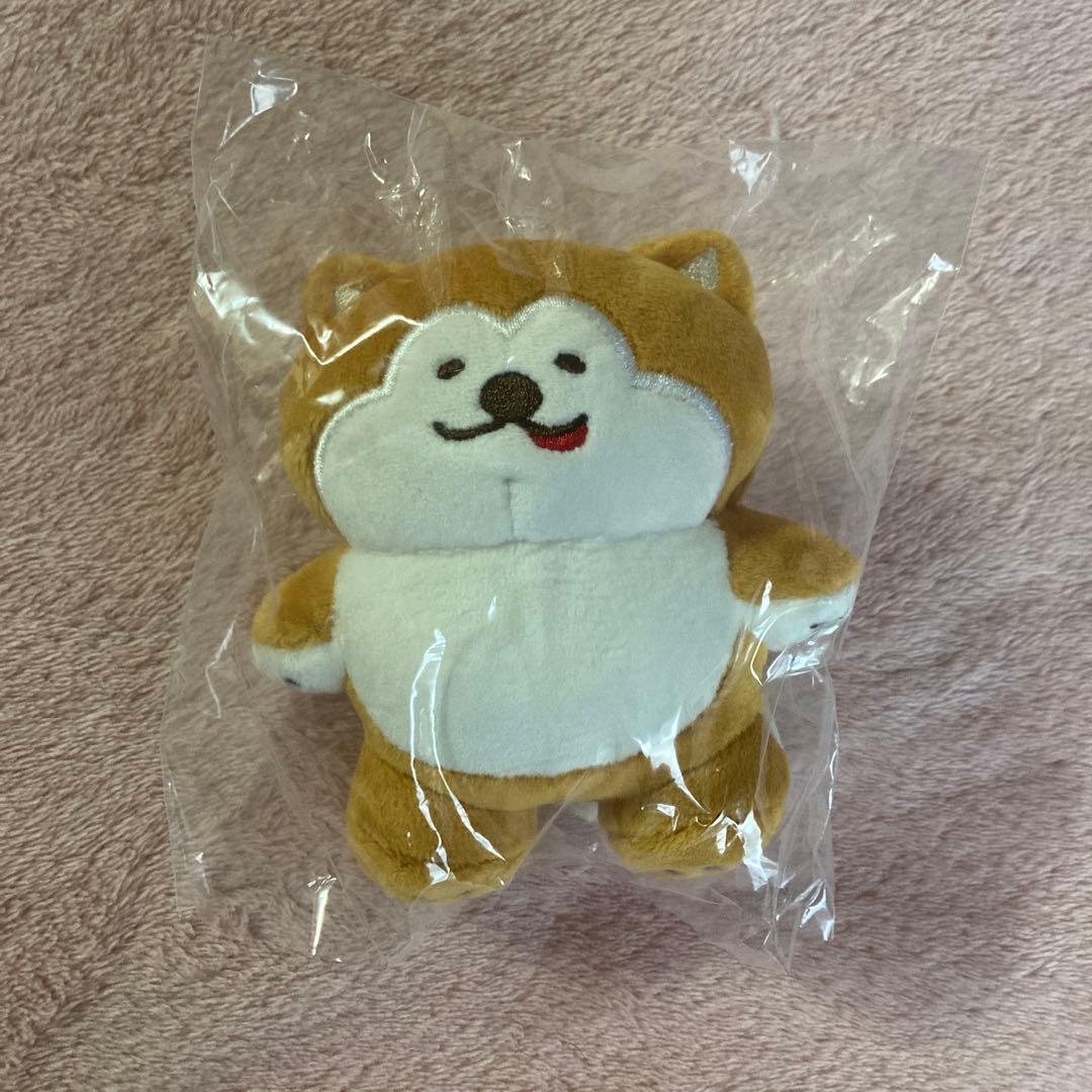 《未使用》JR 秋田支社　あきお・つがにゃん　グッズ13点セット