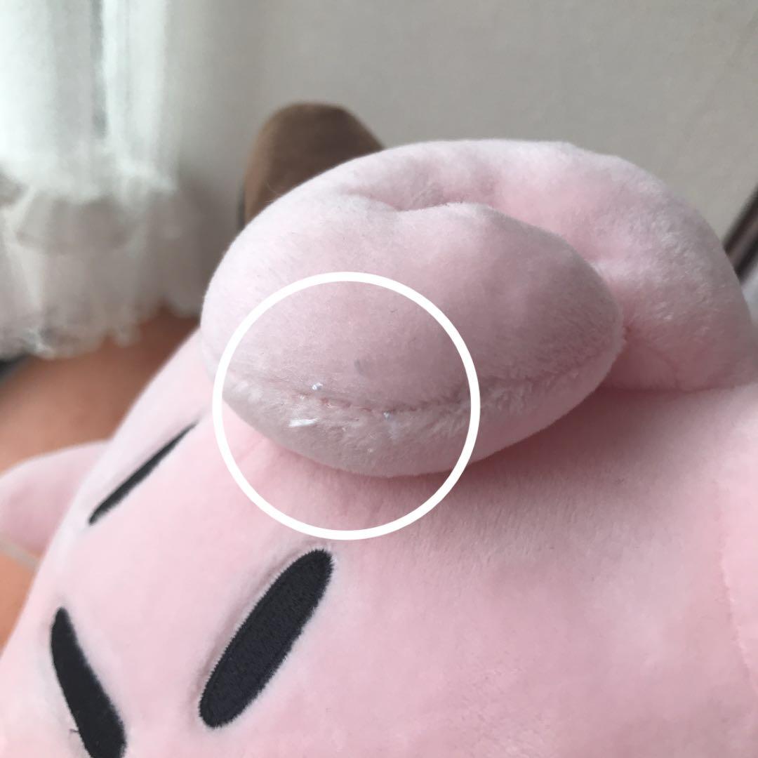 ポケモン ピッピ人形 ぬいぐるみ リーリエ pokemon - メルカリ