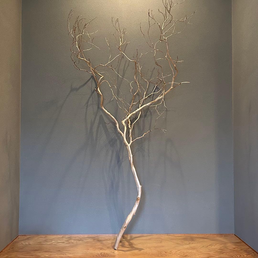 [専用出品]木材インテリア サルスベリ