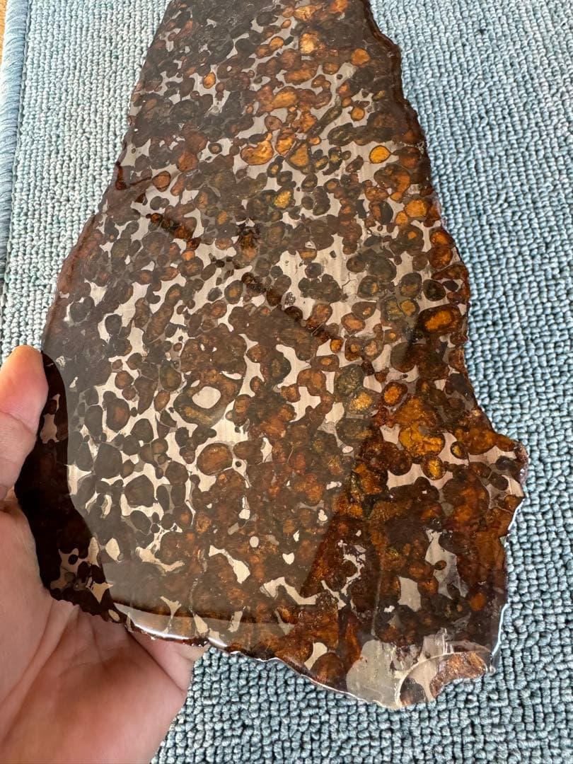 大型　2.8kg 希少 宇宙パワー パラサイト隕石 セリコ隕石 隕石原石 原皮付