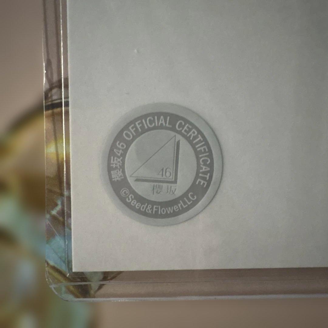 守屋麗奈 サイン入り写真 2025 浴衣 - メルカリ