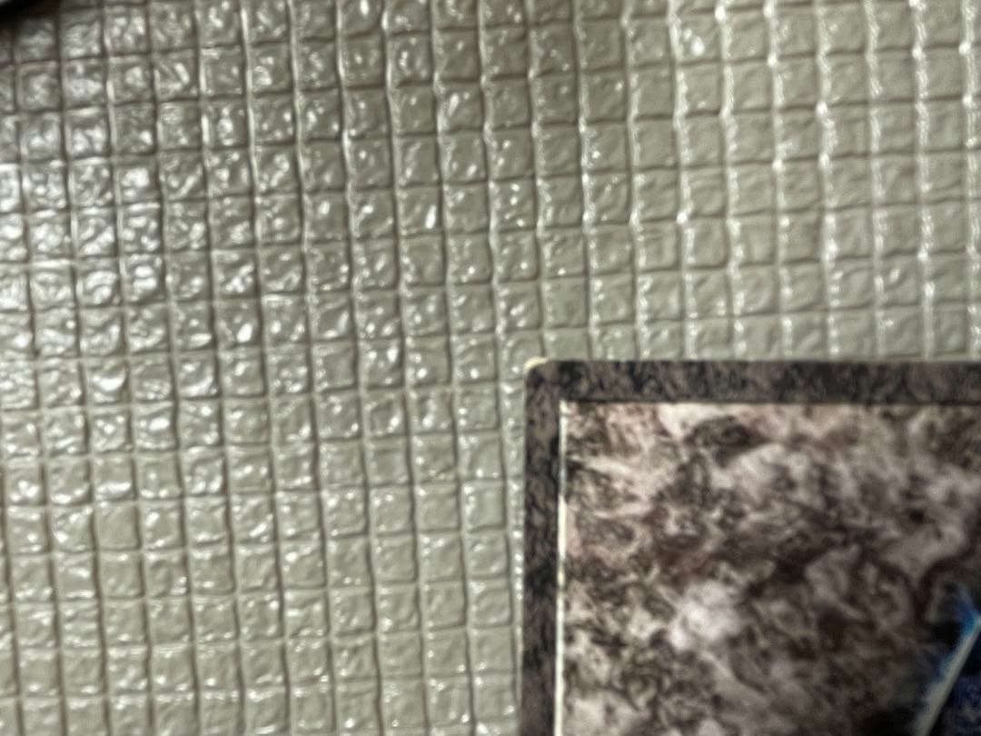 初期不良品プレミア】遊戯王 ダンジョンダイスモンスターズ 幻獣王