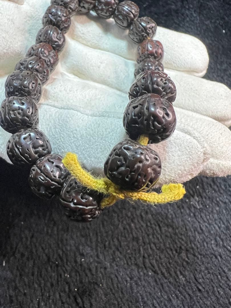 ルドラクシャ五弁双龍紋インドネシア花王小金剛菩提JST25054