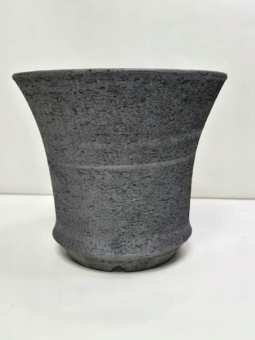 限定品 三州みやび鉢 trashモデル 鶴仙園 　パキプス 亀甲竜