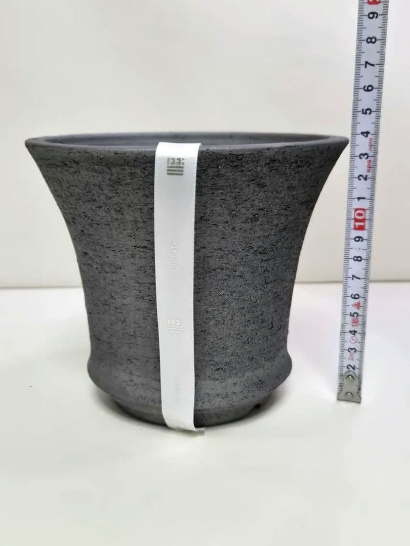 限定品 三州みやび鉢 trashモデル 鶴仙園 　パキプス 亀甲竜