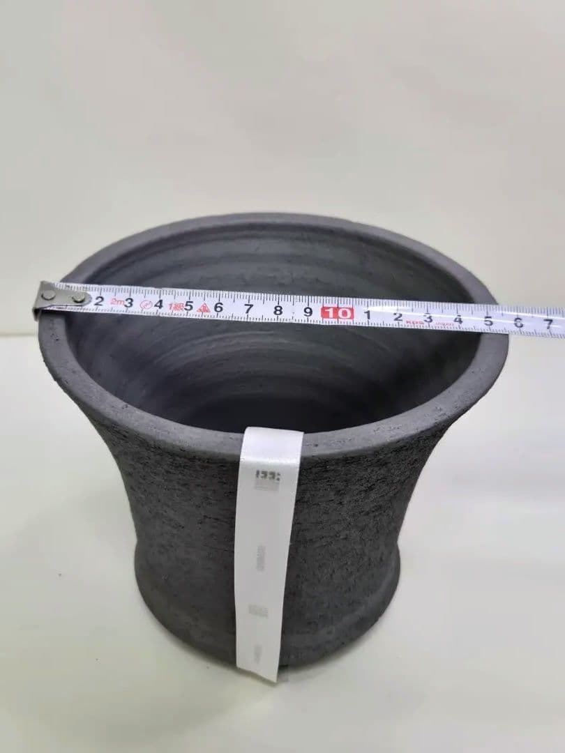 限定品 三州みやび鉢 trashモデル 鶴仙園 　パキプス 亀甲竜