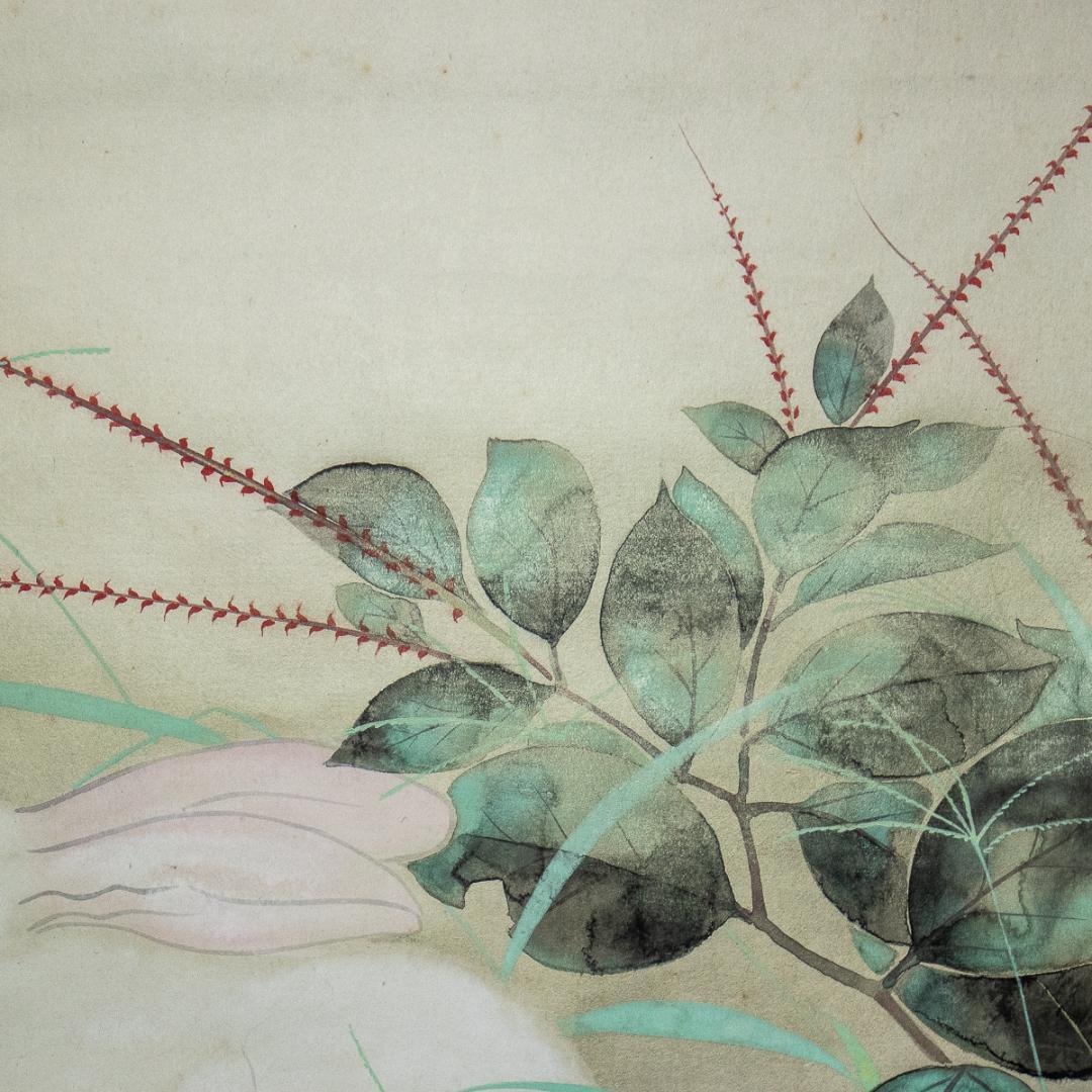 掛軸-984 山村耕花 兎 共箱 個展出品作 松坂屋シール - メルカリ