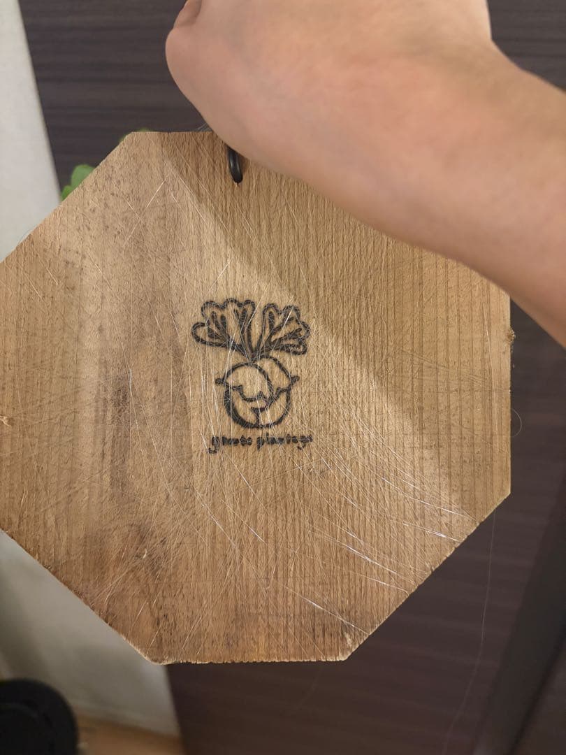 P.Mt kitshakood thin ビカクシダ