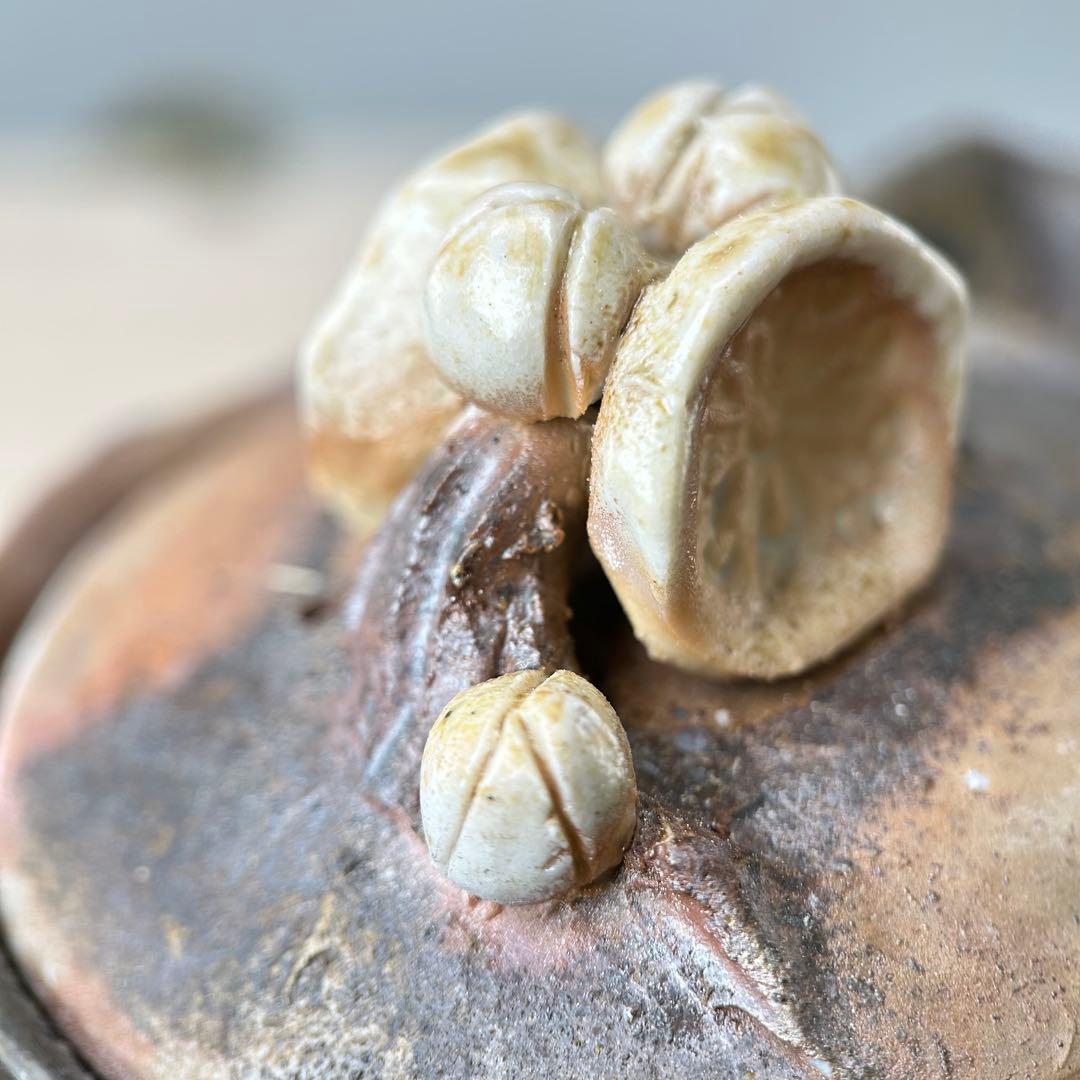 石田安弘 備前焼梅宝瓶 般若心经 人気作者 急須 共箱 共布 茶注 煎茶