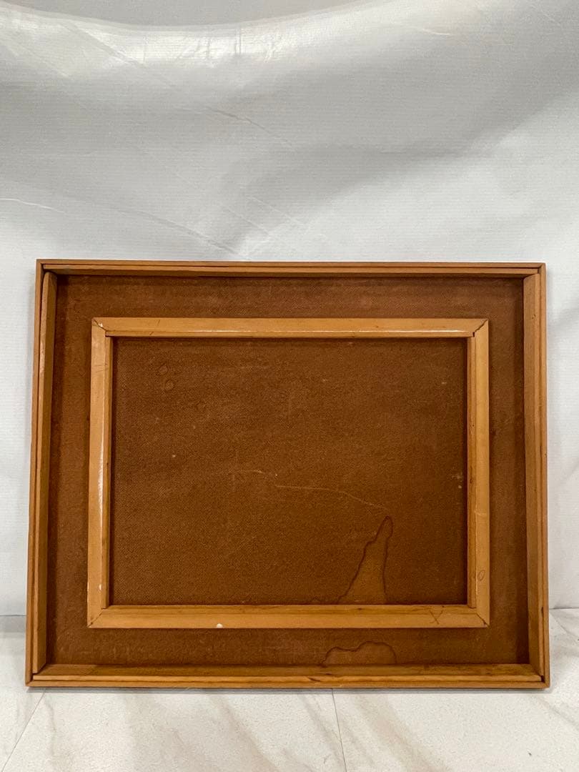 ハ2415 【中古品】裏シミ有り 表縁汚れ有り ブラジルの青いモルフォ蝶