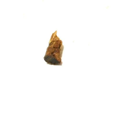伽羅　緑油　0.22g