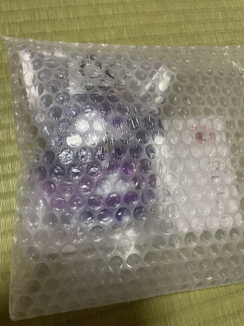 ケープキャット クリアパープル