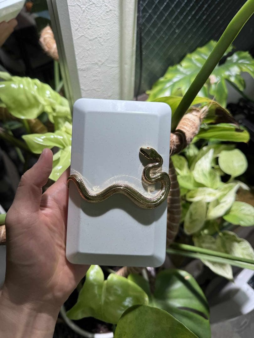 Kilian Good Girl Gone Bad 香水