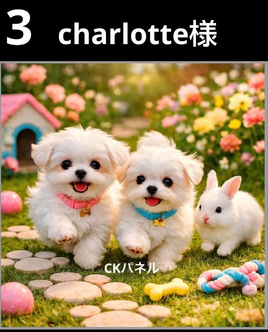 オーダーページ ハンカチ363 わんこ柄 ハンドメイド2/23 - メルカリ