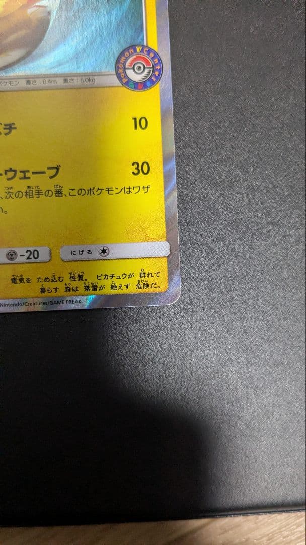 海で遊ぶピカチュウ：My251ポケモンセンター真夏のピカピカ大作戦キャンペーン