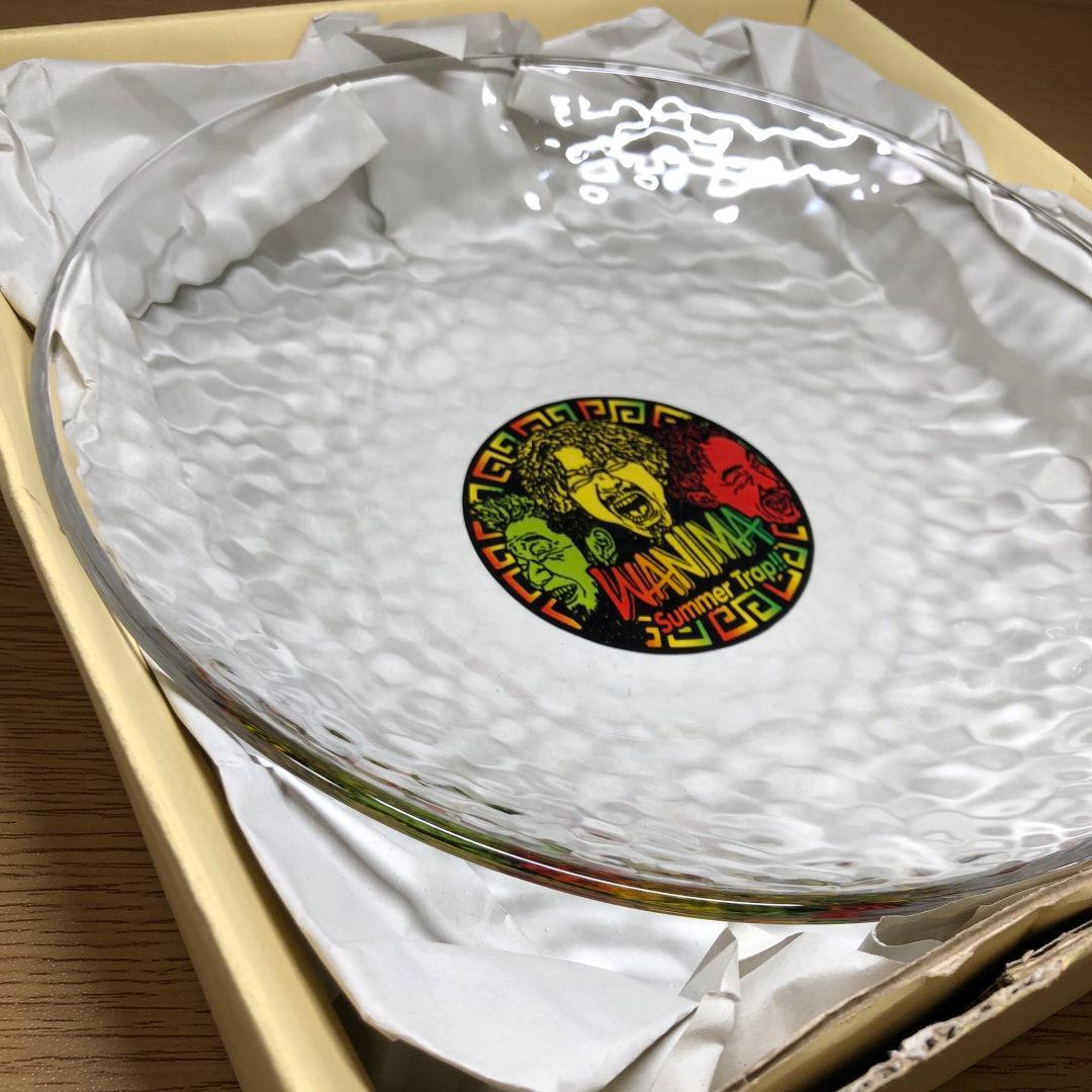 WANIMA Summer Trap!! 冷やし中華皿 レア 限定 非売品