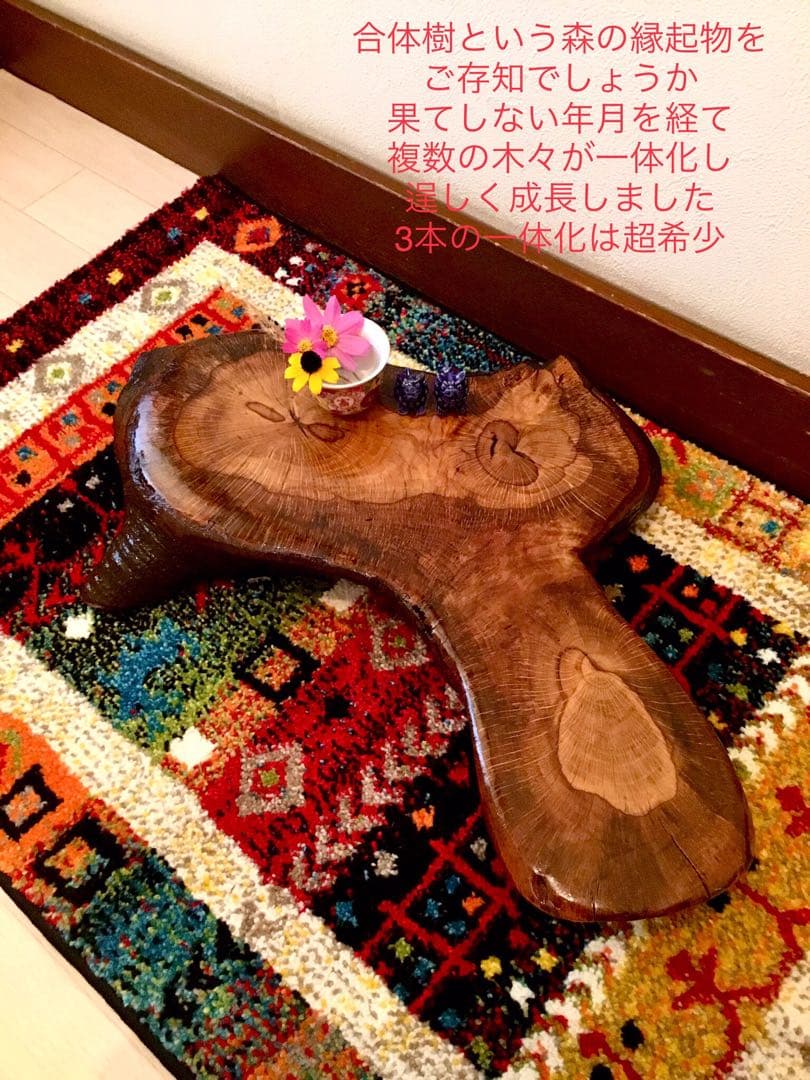 合体樹＊超絶ワイルドな森の切り株テーブル】3本の木々が一体化した希少部位