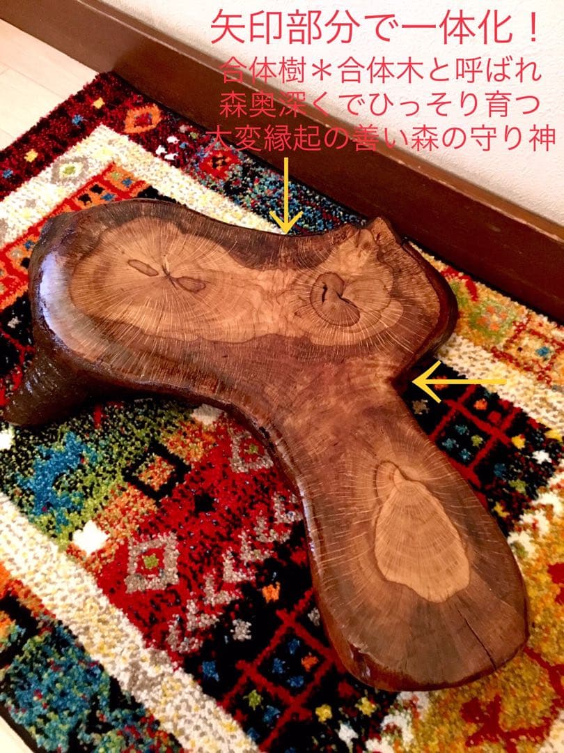 合体樹＊超絶ワイルドな森の切り株テーブル】3本の木々が一体化した希少部位