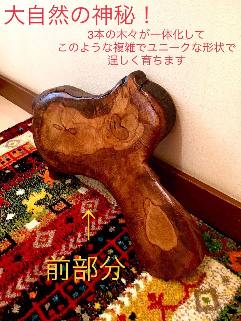 合体樹＊超絶ワイルドな森の切り株テーブル】3本の木々が一体化した希少部位