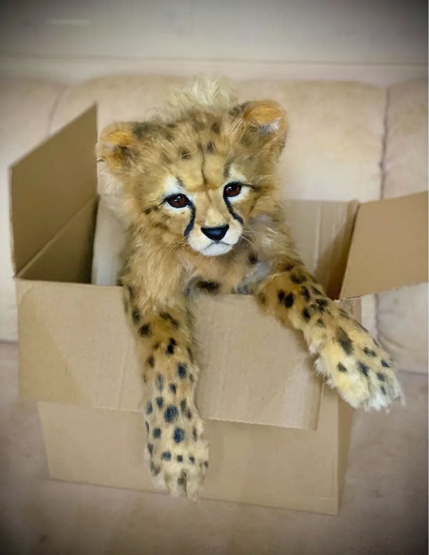 海外作家様作　アートドール　チーターの子供