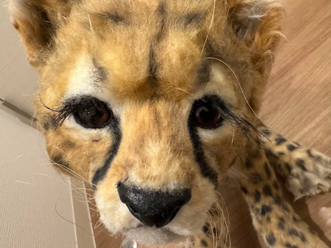 海外作家様作　アートドール　チーターの子供