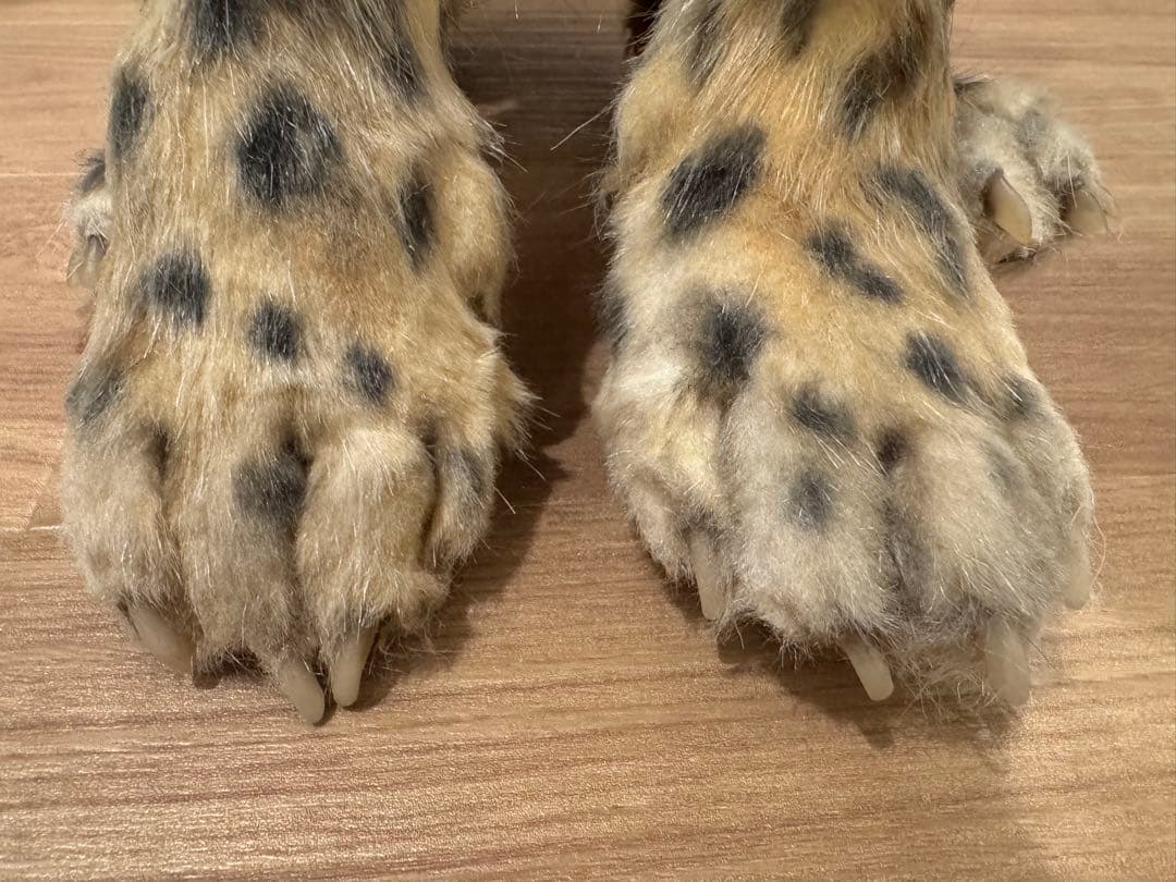 海外作家様作　アートドール　チーターの子供