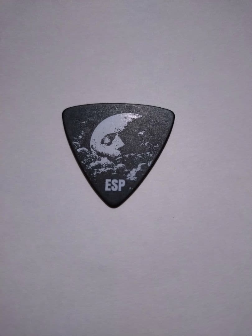 DIR EN GREY TOUR25蜿蜒 Toshiyaピック 敏弥