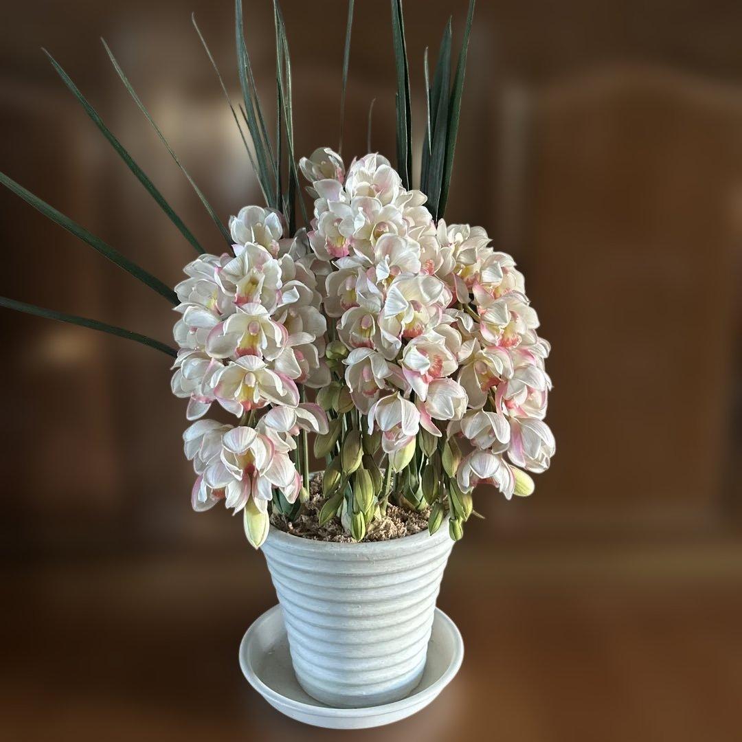 ピンクペルペチュエル’☆アーチ型　造花