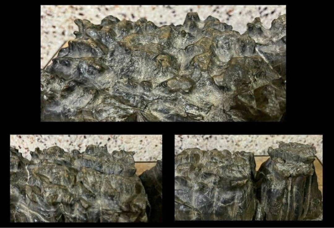 4756 水石 盆栽 大型 紀州古谷石 横63(cm)19.35kg