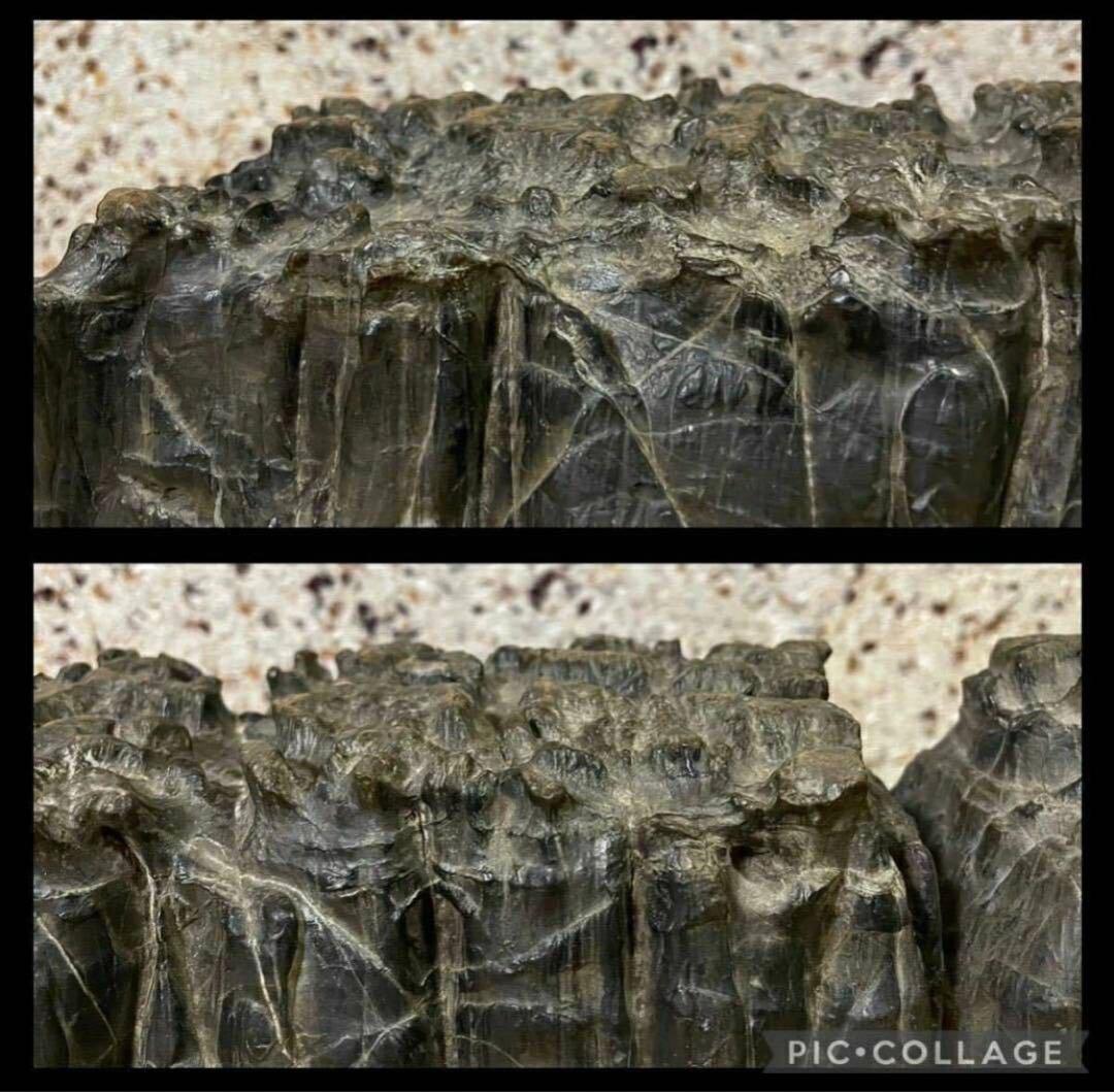 4756 水石 盆栽 大型 紀州古谷石 横63(cm)19.35kg