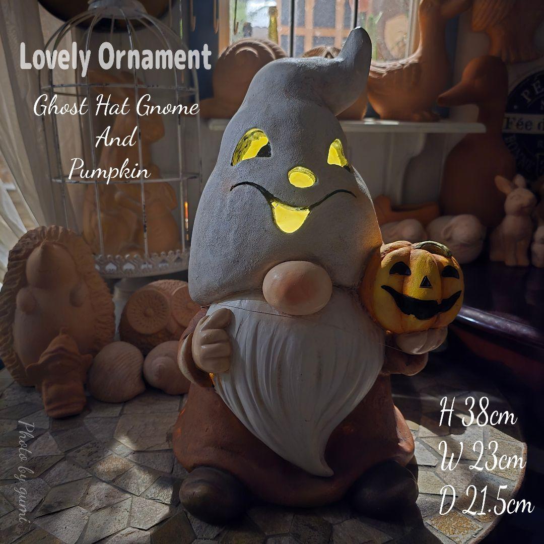 見たことのないとっても珍しいノームさんの電池ボックス式オブジェ♡1