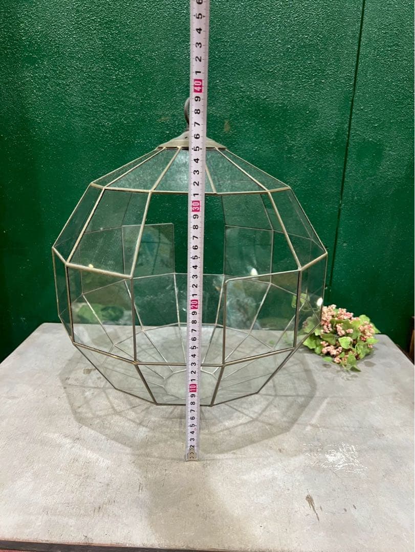 吊り型 テラリウム バンキング インテリア ガラス ショーケース