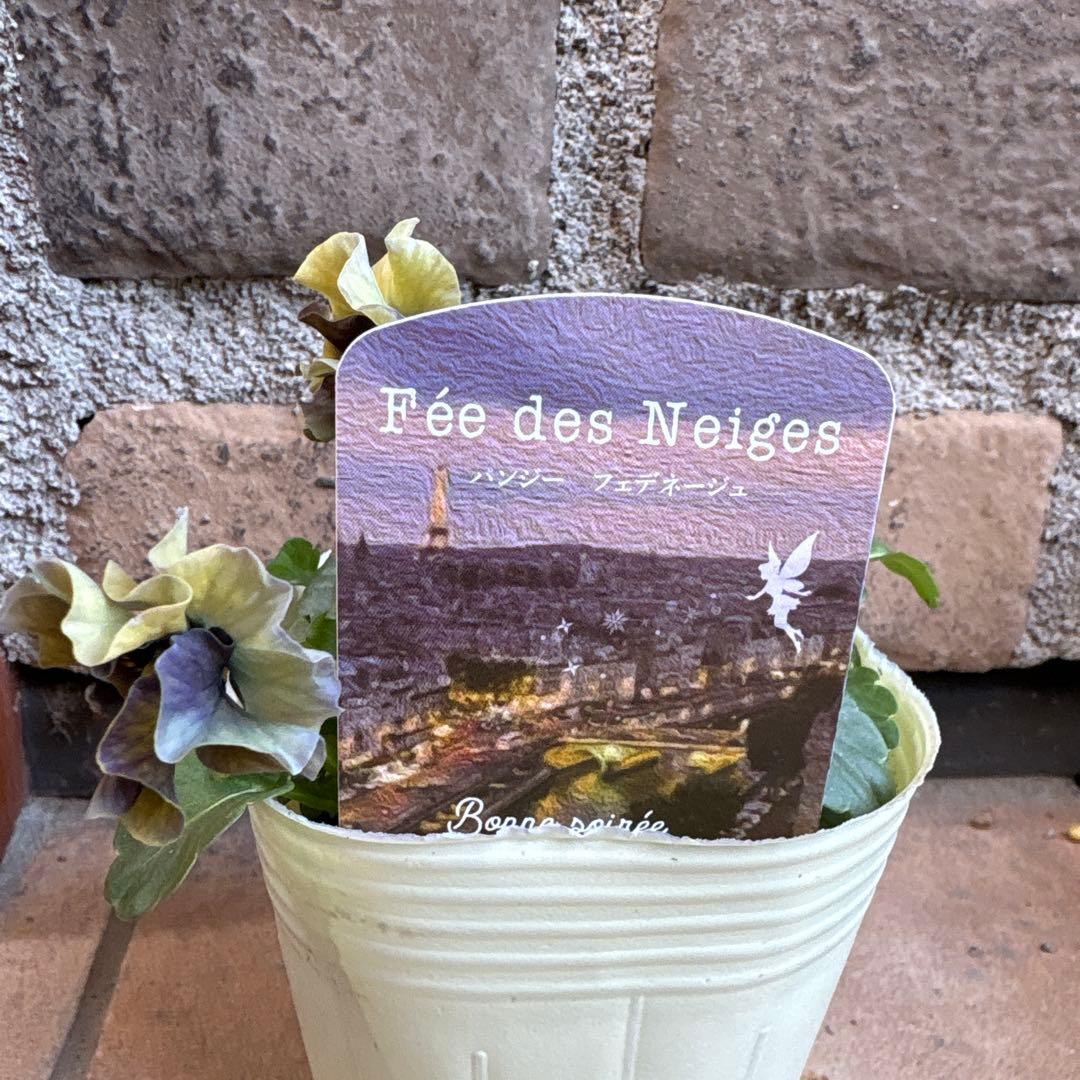 フェデネージュ