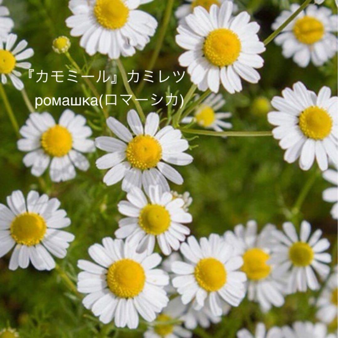 ロシア雑貨☆イースターエッグ型マトリョーシカ5Pフラワーバスケット カービング