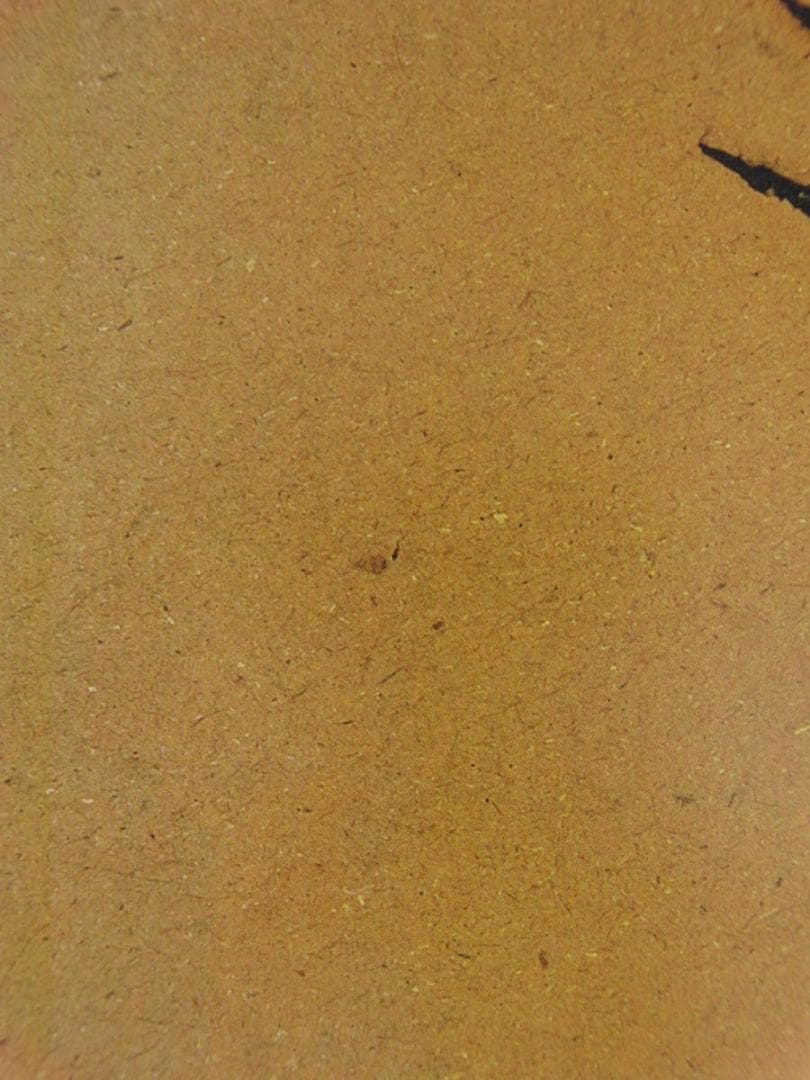 山下清、【カラス】、希少な額装用画集より、美品、日本人画家、新品額装付