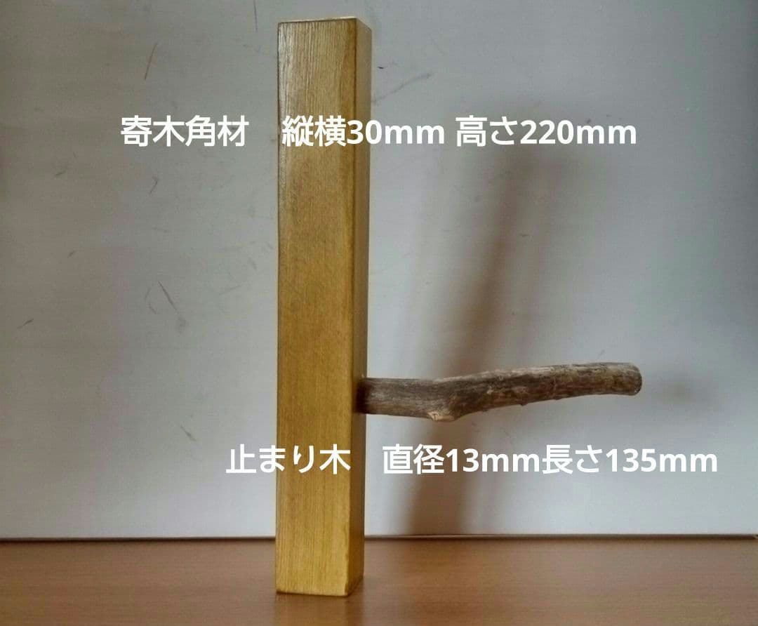 バードカービング　夫婦メジロ