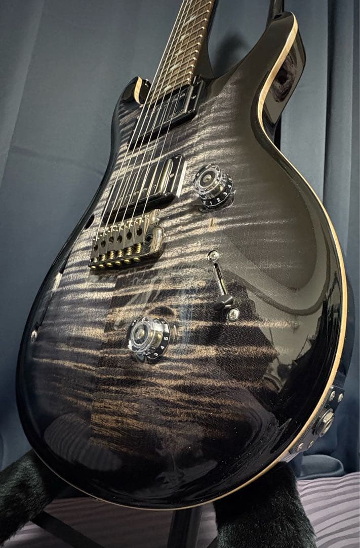 ギター PRS Custom 24 Semi-Hollow