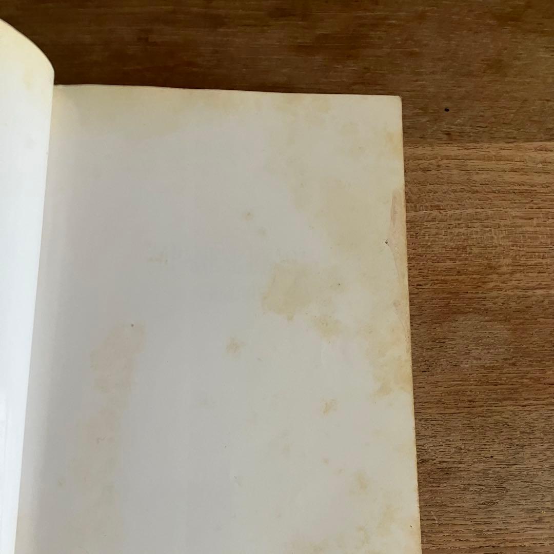 マガジンハウス HIROMIX 写真集 JAPANESE BEAUTY 【希少】