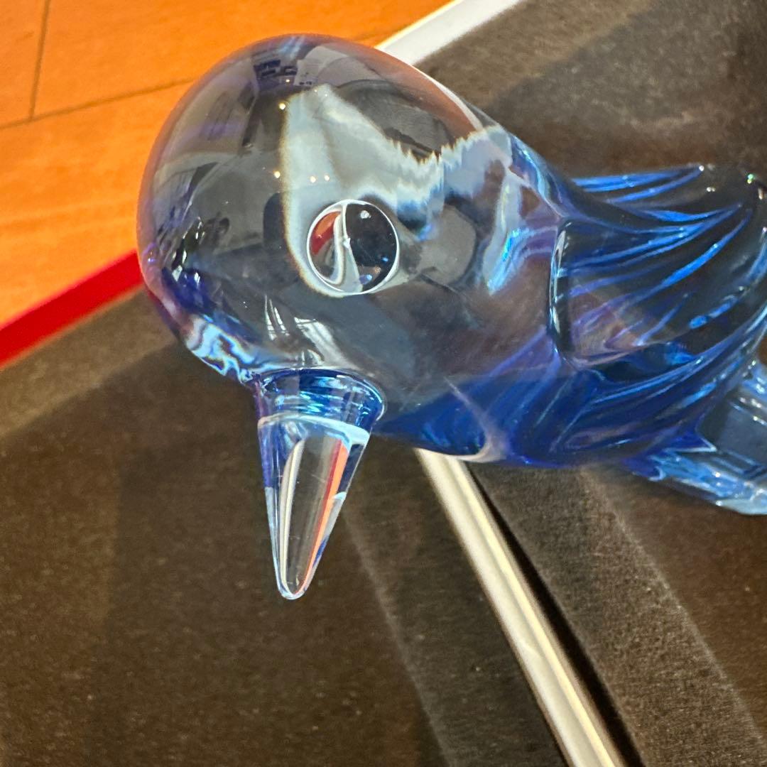 バカラ　ファウナクリストポリスバード　ブルー