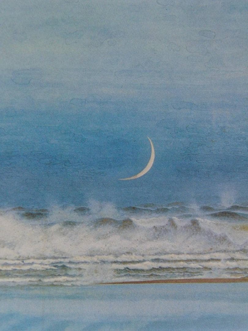 池田遙邨、【浜名湖今切】、希少な大判額装用画集より、美品、日本人