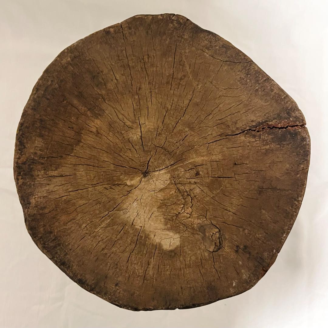 アフリカ ジンバブエ トンガスツール