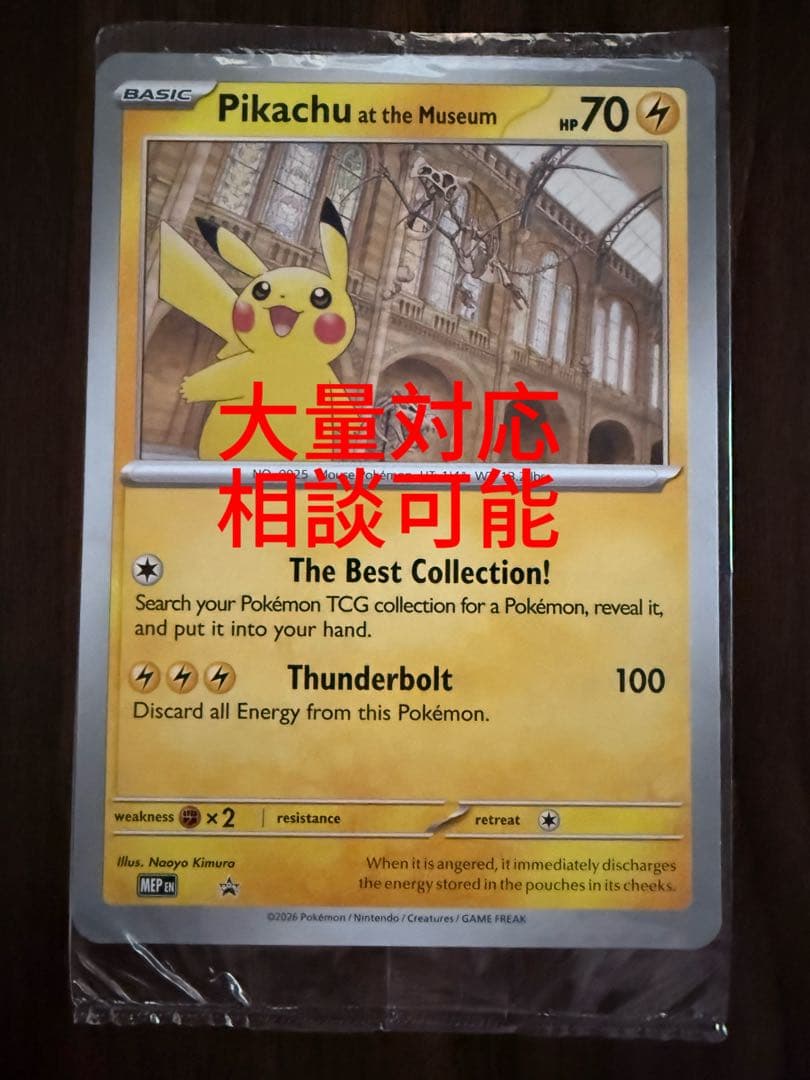 Pikachu at the Museum ピカチュウ ロンドン自然史博物館 - メルカリ